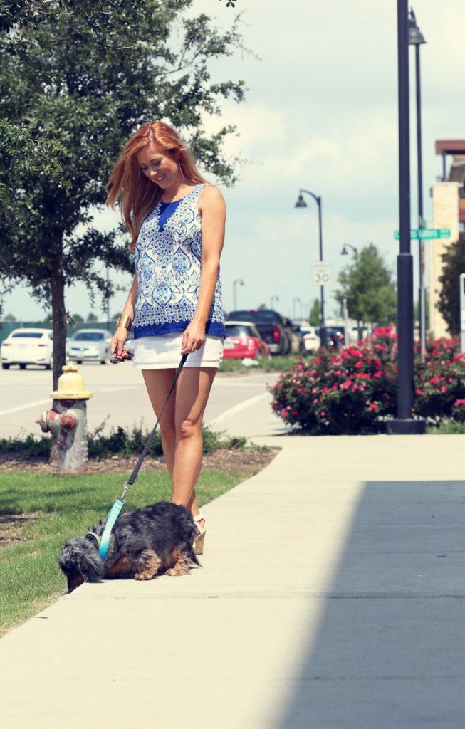 Hilary Kennedy Blog // Leisure Leash for dogs